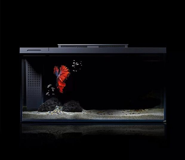 Умный аквариум с оформлением Petkit Origin Fish Cylinder with Landscaping Twiligh Jump Shadow Set 10 - 5